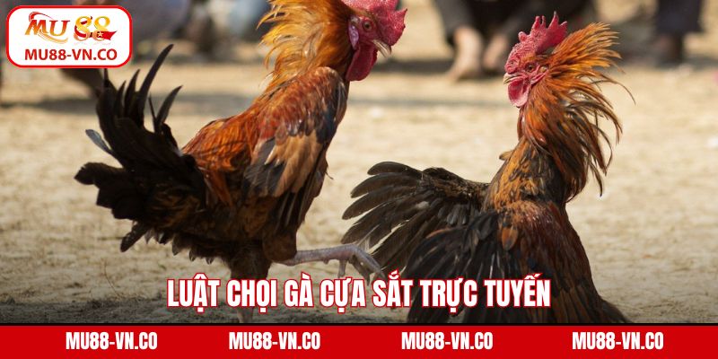 Luật chọi gà cựa sắt trực tuyến