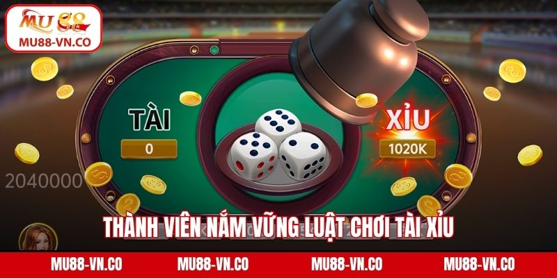 Thành viên nắm vững luật chơi Tài Xỉu